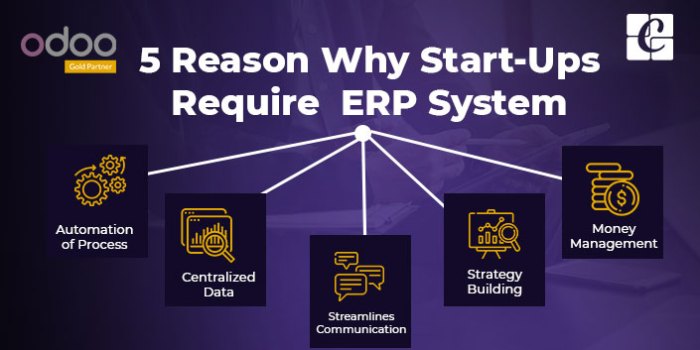 5 Reasons Why Start-Ups Require ERP System