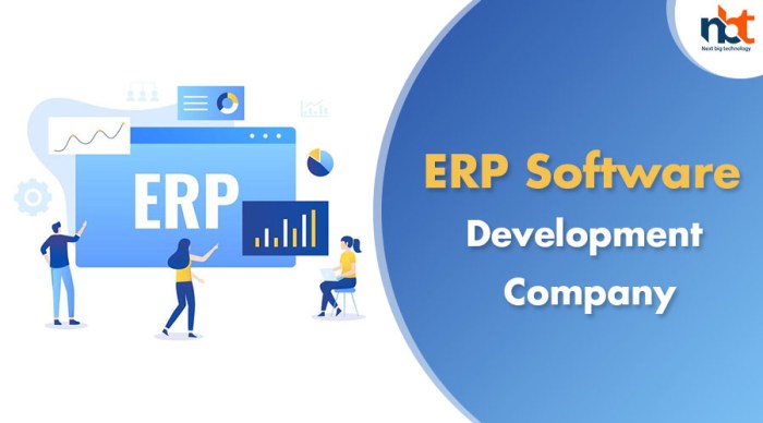 ERP Software Development Company - Next Big Technology