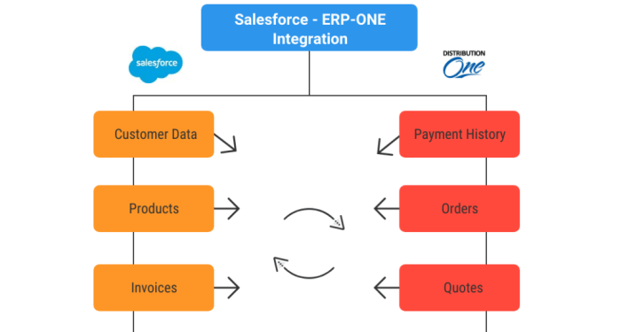 ERP-ONE Salesforce Integration - Allegro Consultants