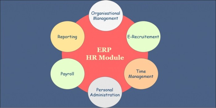 HR Module in ERP System for Human Resource management