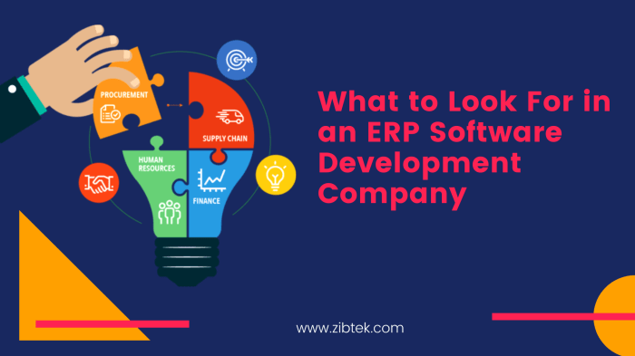 What to Look For in an ERP Software Development Company | Zibtek Blog