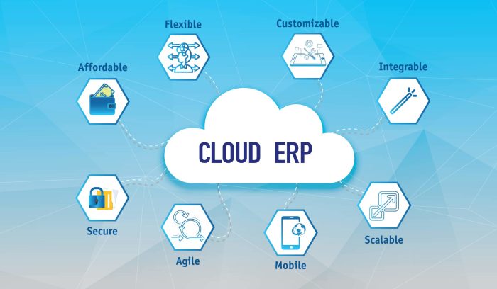 What is Cloud based ERP Software? Definition and Components