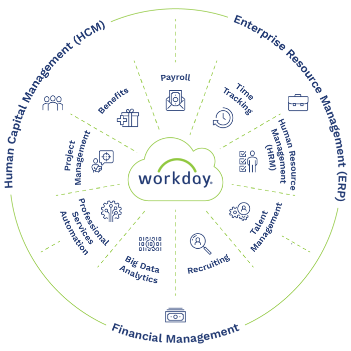 Workday Software Ipo