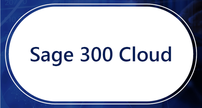 Sage 300 Cloud - 4 Sight Holdings