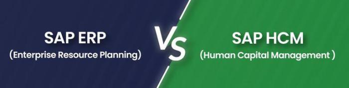 ERP Vs HCM | Difference Between SAP ERP and SAP HCM | GeeksforGeeks